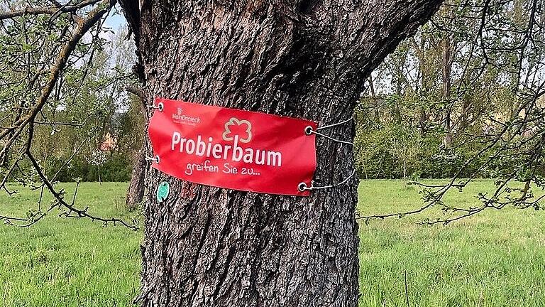Mancherorts kennzeichnen rote „Probierbaum“-Schilder die Bäume, deren Früchte die Passanten ernten dürfen.