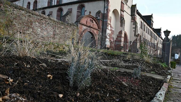 Der neu angelegte Klostergarten an der Orangerie von Kloster Bronnbach war Inspiration für mehrere Kurse rund um Kräuter und Natur, die das Jahr über verteilt in der Klosteranlage stattfinden werden. Der neu angelegte Klostergarten an der Orangerie von Kloster Bronnbach war Inspiration für mehrere Kurse rund um Kräuter und Natur, die das Jahr über verteilt in der Klosteranlage stattfinden werden.
