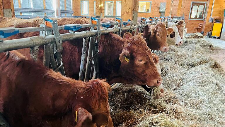 Die Tiere der Familie Büttner werden auf dem Hof geboren und großgezogen.