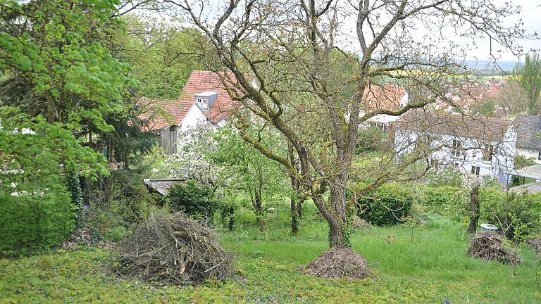 Alter Baumbestand trägt zu ökologischen Vielfalt im Garten bei. Alter Baumbestand trägt zu ökologischen Vielfalt im Garten bei.