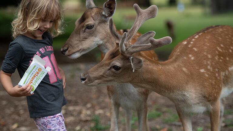 Wann dürfen Tierparks in Bayern wieder öffnen? Im Wildpark Klaushof bei Bad Kissingen bewegt sich das Rotwild frei auf dem Gelände, Besucher können die Tiere ohne Zaun füttern und streicheln.