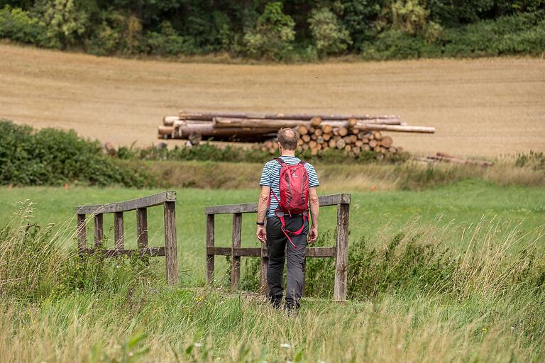 Nicht auf dem Holzweg, sondern auf dem Witzewanderweg unterwegs - hier zwischen Rohr und Leuzdorf.