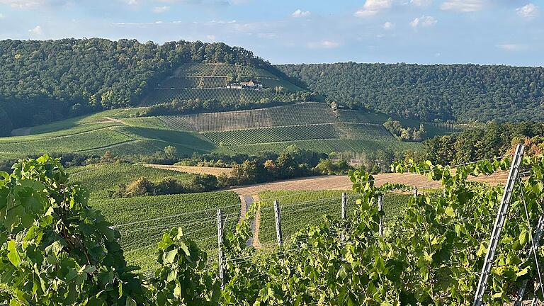 Von den Aussichtspunkten, wie hier von der 14-Nothelferkapelle mit Blick zur Stollburg, sollen Photovoltaik-Anlagen nicht einsehbar sein. Von den Aussichtspunkten, wie hier von der 14-Nothelferkapelle mit Blick zur Stollburg, sollen Photovoltaik-Anlagen nicht einsehbar sein.