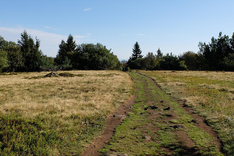 Der Bewuchs ist auf dem Gipfel des Kreuzbergs sehr spärlich Der Bewuchs ist auf dem Gipfel des Kreuzbergs sehr spärlich