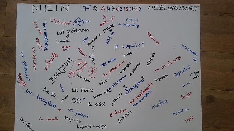 Lieblingswörter älterer Französischschülerinnen. Lieblingswörter älterer Französischschülerinnen.