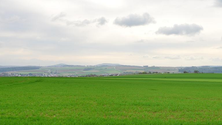 Blick in Richtung Stadt von dem Feld von Robert Mack, das der Landwirt für den Bau einer Maschinenhalle vorgesehen hat (rechts am Bildrand ist der Suhlesturm zu sehen). Blick in Richtung Stadt von dem Feld von Robert Mack, das der Landwirt für den Bau einer Maschinenhalle vorgesehen hat (rechts am Bildrand ist der Suhlesturm zu sehen).