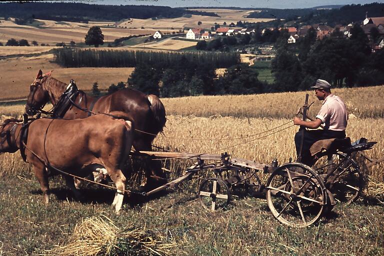 In den 60er Jahren war es noch üblich, mit einem Tiergespann die Felder zu bestellen. In den 60er Jahren war es noch üblich, mit einem Tiergespann die Felder zu bestellen. 