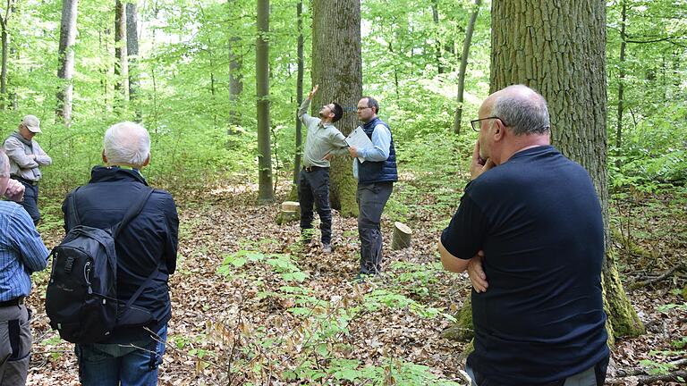 Förster Patrick Schelbert (am Eichenstamm, daneben Bürgermeister Michael Hombach) erläutert Mitgliedern des städtischen Ausschusses und interessierten Bürgerinnen und Bürgern in der Waldabteilung Dürrling die gezielte Entnahme von Buchen zur Förderung der vorhandenen Werteichen. Förster Patrick Schelbert (am Eichenstamm, daneben Bürgermeister Michael Hombach) erläutert Mitgliedern des städtischen Ausschusses und interessierten Bürgerinnen und Bürgern in der Waldabteilung Dürrling die gezielte Entnahme von Buchen zur Förderung der vorhandenen Werteichen.
