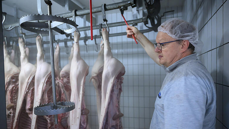 Daniel Peter       -  Metzgermeister Eberhard Bumm prüft frische Schweinehälften in seinem Kühlhaus. Bis es so weit kommen kann, ist viel Arbeit zu tun. Die Tiere hatten kurze Wege hinter sich.