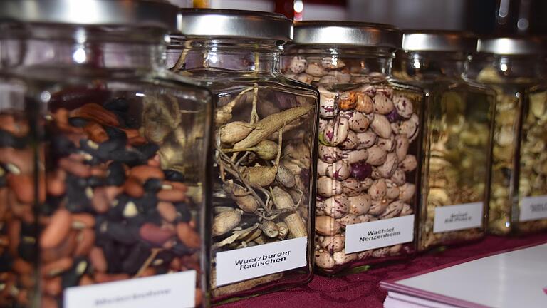 Seltene und alte Sorten wurden beim ersten Info- und Saatgutmarkt in Greßthal als Samen oder gar als Wurzeln im Glas angeboten.