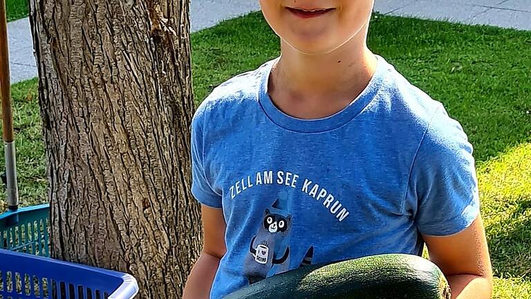 Der siebenjährige Leo erntet zusammen mit seiner Oma Sigrid Müller gerne Zucchini. Fast jeden Tag kann er sich über ein neues großes Exemplar freuen.