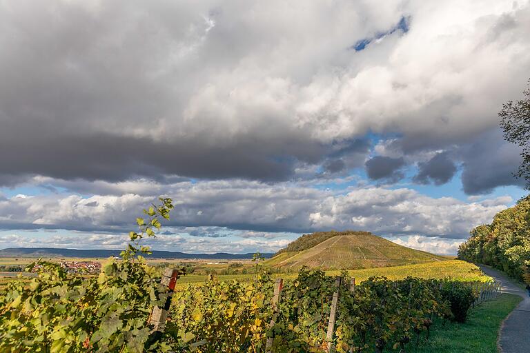 Blick auf den  Tannenberg, den es am Ende der Tour zu erklimmen gilt. In idyllischer Umgebung des Tannenbergs wächst auf ca. 75 Hektar Rebfläche der Hüttenheimer Wein.