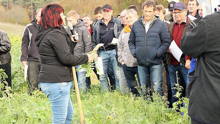 Wasserberaterin Eva Heilmeier (AELF Karlstadt) informierte auf dem Demonstrationsbetrieb Daniel Lambrecht in Obersfeld über die verschiedenen Pflanzen, die nicht zuletzt auch im Hinblick auf den Klimawandel zum Zwischenfruchtanbau Verwendung finden können.