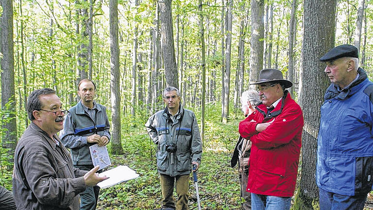 Experten im Wald: Leo Egg (links) erläuterte Details zur &bdquo;Forsteinrichtung&ldquo;. Hinten links der Karlstadter Förster Klaus Weierich und in der Mitte Armin Otter vom Amt für Landwirtschaft und Forsten Würzburg.