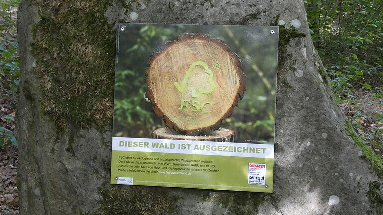 Der Stadtwald besitzt eine FSC-Zertifizierung. Darüber informiert diese Hinweistafel im Wald auf einem Stein. Der Stadtwald besitzt eine FSC-Zertifizierung. Darüber informiert diese Hinweistafel im Wald auf einem Stein.