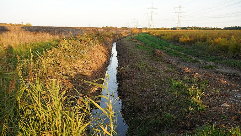 Der Seitenbach zum Unkenbach: Schön zu sehen die halbseitige Mahd. Was man nicht sieht: der Zulauf hat keine natürliche Sohle, sondern eine Betonrinne.