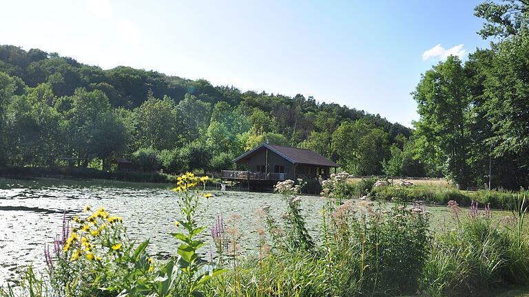 Der Angelsee ist heute ein Biotop.