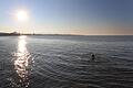 Schwimmerin im Bodensee       -  Eine Frau schwimmt nahe der deutschen Grenze im rund zehn Grad kalten Wasser des Bodensee.