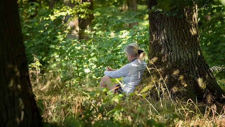 Der Wald ist für viele auch Erholungsraum, für manche aber mehr. Private Waldbesitzer gibt es im Raum Schweinfurt-Haßberge noch etliche. Der Wald ist für viele auch Erholungsraum, für manche aber mehr. Private Waldbesitzer gibt es im Raum Schweinfurt-Haßberge noch etliche.