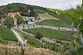 Wandern in und um Würzburg: Im Hintergrund ist die Steinburg zu sehen.