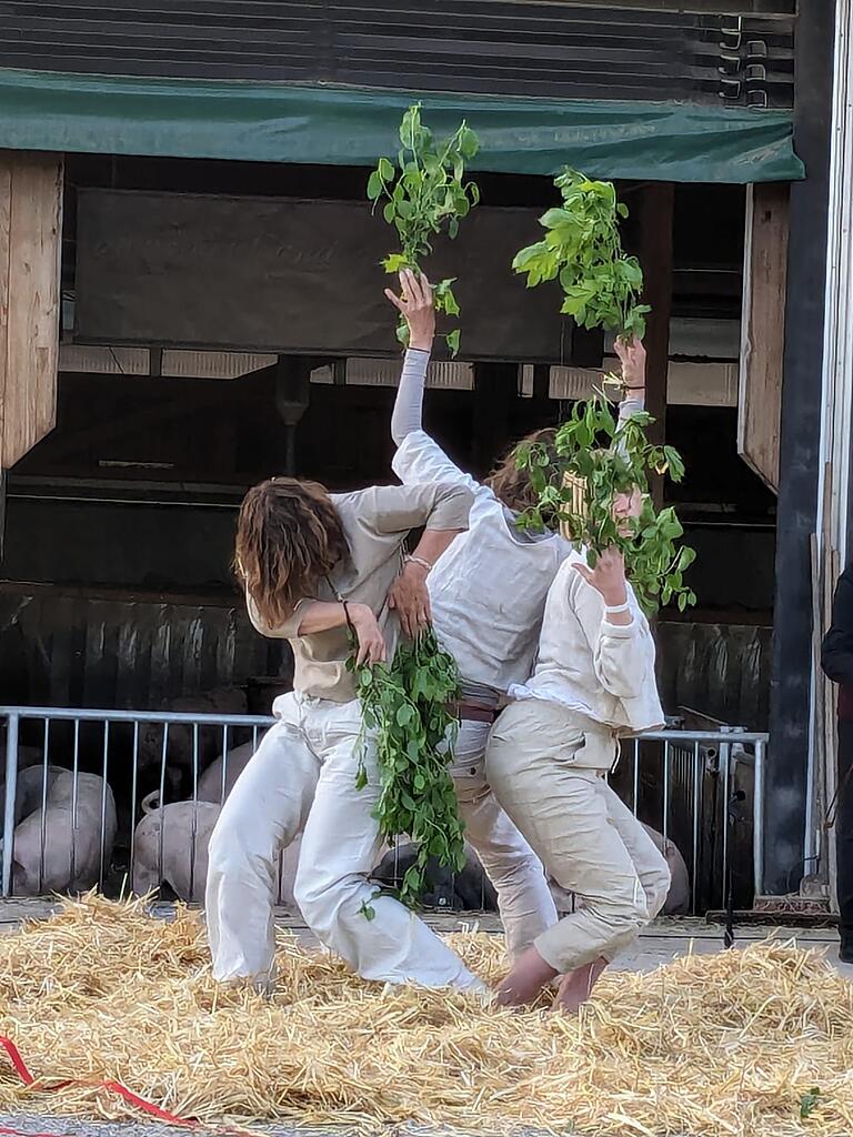 Tanzperformance des Ensembles Wachstumszonen. Tanzperformance des Ensembles Wachstumszonen.