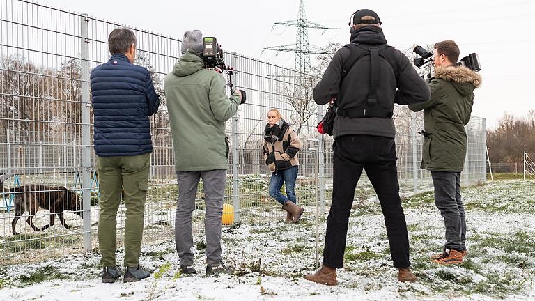 Dreharbeiten im Tierheim Haßberge: Tierheimleiterin Britta Merkel spricht vor den Kameras über den aggressiven Holländischen Schäferhund Siggi.