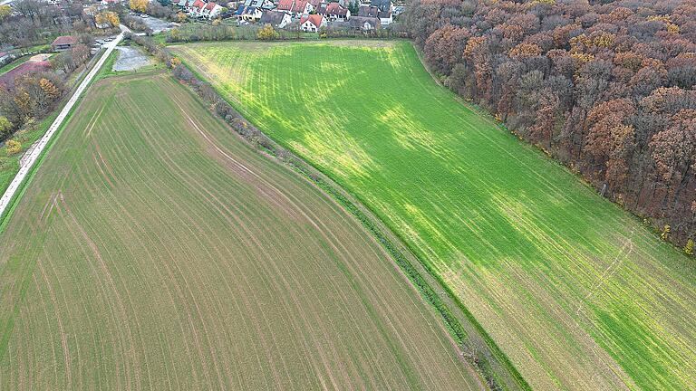 Der Standort für die neue Realschule in Schonungen: Auf dem Acker (links) ist der Bauplatz für den Neubau vorgesehen. Der Landkreis Schweinfurt als Bauherr hat ihn schon gekauft. Der Standort für die neue Realschule in Schonungen: Auf dem Acker (links) ist der Bauplatz für den Neubau vorgesehen. Der Landkreis Schweinfurt als Bauherr hat ihn schon gekauft.