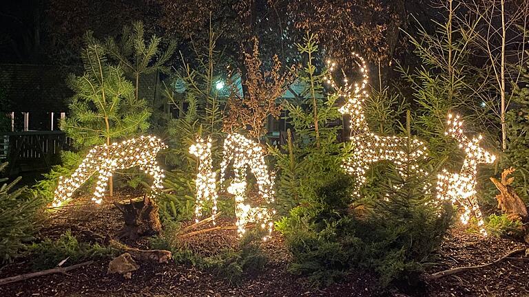 Mellrichstadt leuchtet im Advent