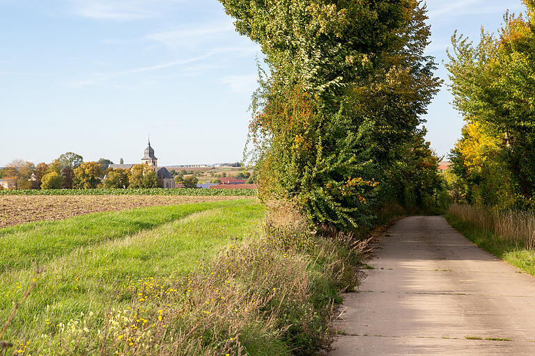 Auf Feldwegen verläuft die Route von Eßfeld in Richtung Giebelstadt. Auf Feldwegen verläuft die Route von Eßfeld in Richtung Giebelstadt.