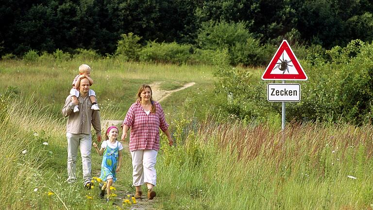 Beim Spazieren gehen abseits fester Wege ist die Zecken-Gefahr am Größten.&nbsp;