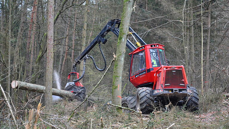 Die Harvester gehen ständig von einem Revier ins nächste. Aus dem Gemeindewald Großbardorf sind schon 20 Prozent der Fichten entfernt.