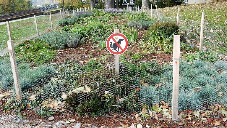 Seit der Zaun die Blumen schützt, gibt es im Beet kaum noch Hundehaufen. Die sind jetzt im Rasen vor dem Zaun.