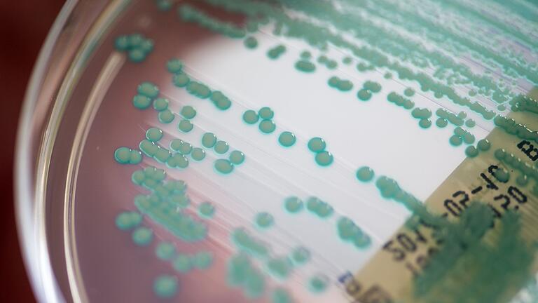 Multiresistente Keime       -  Die Zahl der Todesfälle, bei denen multiresistente Keime eine Rolle spielen, könnte von 4,71 Millionen auf 8,22 Millionen steigen. (Archivbild)