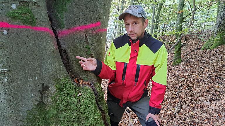 Stadtförster David Scheuthle sorgt sich um den Zustand des Waldes. Stadtförster David Scheuthle sorgt sich um den Zustand des Waldes. 