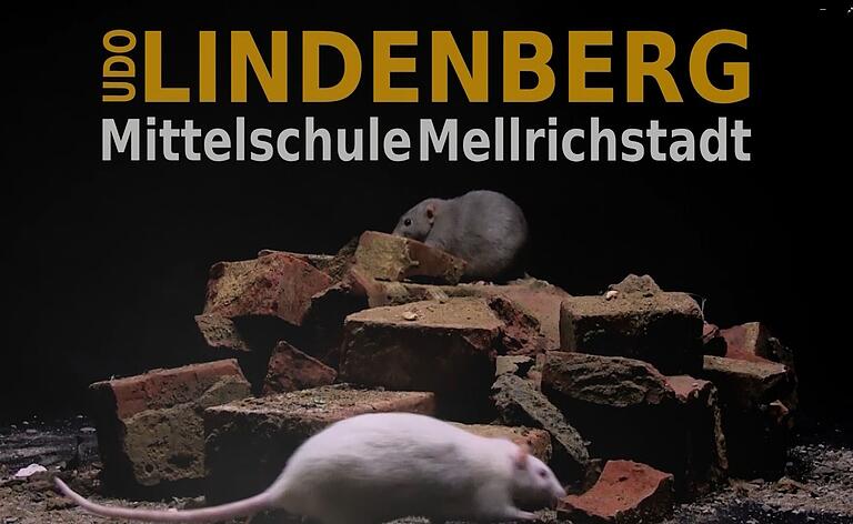 Für den Vorspann des Weihnachtsvideos auf YouTube hatte Lehrerin Lena Grötsch eigens einen Facebook-Aufruf gestartet, um beim Dreh echte Ratten zeigen zu können.