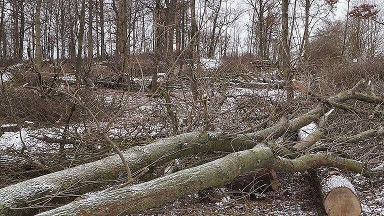 In vielen Gemeinden im Landkreis und der Region können die Bürger in den Gemeindewäldern Schwachholz und Baumkronen ersteigern, um sich mit Brennholz zu versorgen. Wegen Corona fand der Holzstrich diesmal teilweise nicht in den Wäldern statt, sondern wurde telefonisch oder per Computer abgewickelt. Wo die Bürger in den Wald durften, um ihre Gebote abzugeben, galten strenge Regeln.