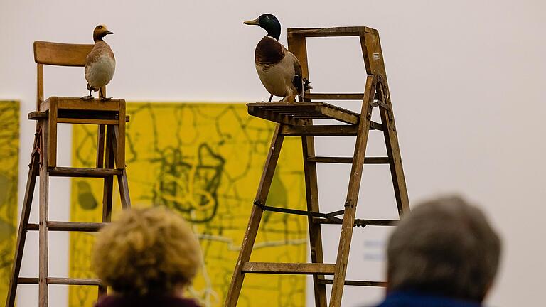 Enten auf Hochstühlen gegenüber Linien auf Leinwänden: In der Schweinfurter Kunsthalle treffen Arbeiten und Hubertus Hess und Peter Kampehl aufeinander.