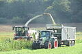 Bei der aktuellen Maisernte fährt bei den Landwirten wieder die Ungewissheit mit, möglicherweise Opfer eines hinterhältigen Attentats zu werden.