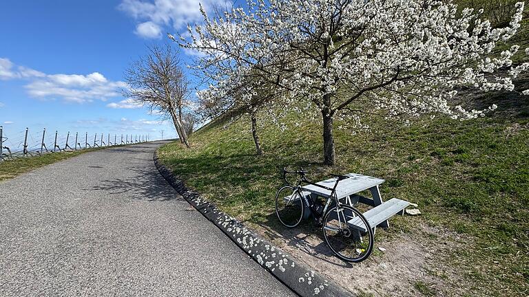 In den Weinbergen über Seinsheim gibt es zahlreiche schöne Orte zum Verweilen. In den Weinbergen über Seinsheim gibt es zahlreiche schöne Orte zum Verweilen. 