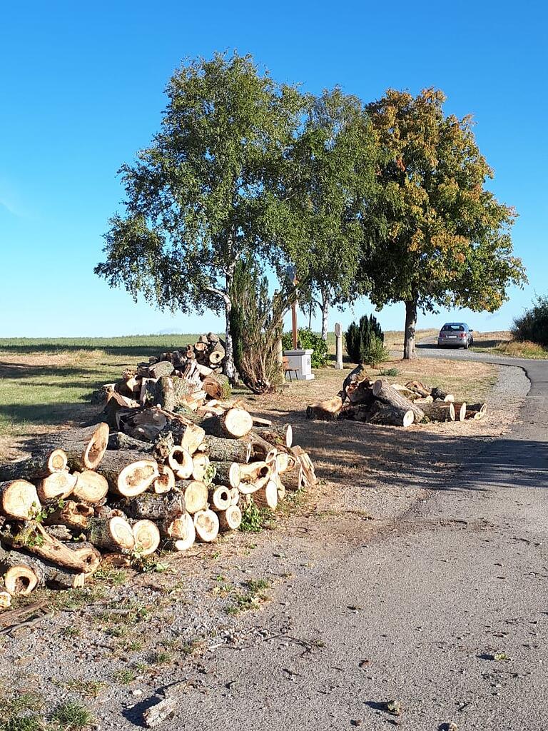 Die Überreste der Winterlinde am Tag nach dem Sturm.