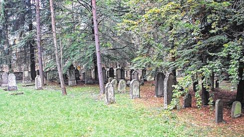 Ruhestätte: Mitten im Wald liegt oberhalb von Oberwaldbehrungen ein jüdischer Friedhof. Er wurde 1842 angelegt. Nur ein Bruchteil der rund 3000 Quadratmeter großen Fläche ist belegt. Ruhestätte: Mitten im Wald liegt oberhalb von Oberwaldbehrungen ein jüdischer Friedhof. Er wurde 1842 angelegt. Nur ein Bruchteil der rund 3000 Quadratmeter großen Fläche ist belegt.