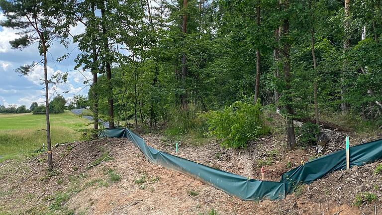 Schutzzäune im Bereich der Abfahrt nach Unterwaldbehrungen sollen Eidechsen von der künftigen Baustelle fernhalten.