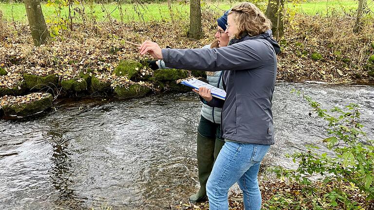 Lebendig und durchgängig: Im Sommer 2025 soll das Wehr an der Kupfermühle in Ostheim zurückgebaut werden. Die Planungen laufen bereits.