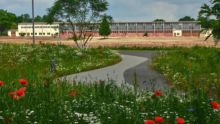 Blick von der Carus-Allee in Richtung zukünftiges Landesgartenschau-Gelände in der Ledward-Kaserne. Noch nicht entschieden ist, was mit der Panzerhalle 237 geschehen soll. Blick von der Carus-Allee in Richtung zukünftiges Landesgartenschau-Gelände in der Ledward-Kaserne. Noch nicht entschieden ist, was mit der Panzerhalle 237 geschehen soll.