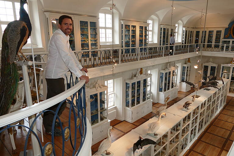 Oliver Wings im Vogelsaal, der die ältesten Sammlungsbestände des Bamberger Naturkunde-Museums beherbergt. Oliver Wings im Vogelsaal, der die ältesten Sammlungsbestände des Bamberger Naturkunde-Museums beherbergt.