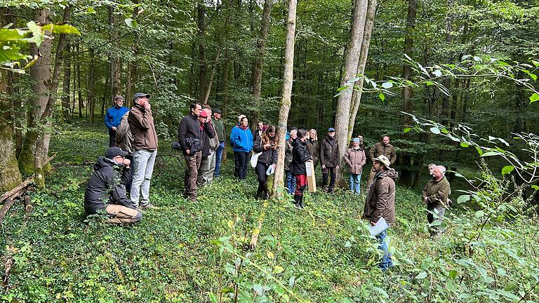 Feste Schuhe, offenes Ohr und Liebe zum Wald vereinte die 30-köpfige Gruppe auf ihrer Wanderung durch den Sailershäuser Wald