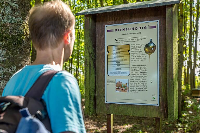 Auf dem Bienenlehrpfad erläutern Informationstafeln spannende Details über die summenden Tiere und deren Erzeugnisse. Auf dem Bienenlehrpfad erläutern Informationstafeln spannende Details über die summenden Tiere und deren Erzeugnisse.