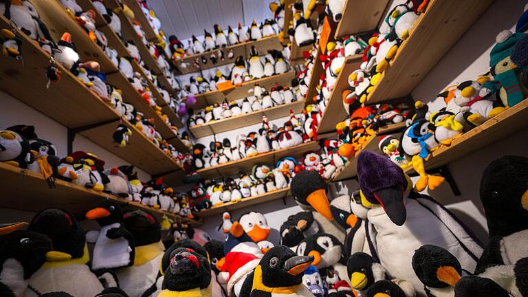 Pinguine im Sonderverkauf - Besonderes Museum schließt - Das Museum besitzt nach eigenen Angaben die weltgrößte Sammlung von Pinguinfiguren. Pinguine im Sonderverkauf - Besonderes Museum schließt - Das Museum besitzt nach eigenen Angaben die weltgrößte Sammlung von Pinguinfiguren.