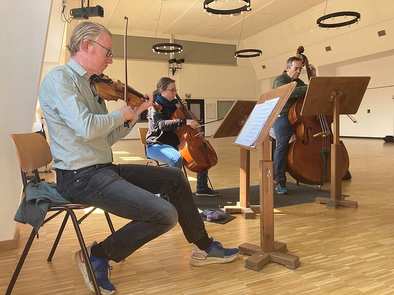 Kein leidenschaftlicher Csárdás ist ohne Geiger und Streicher möglich – Piroschka mit Musik gibt es erstmals bei den Frankenfestspielen in diesem Jahr. Kein leidenschaftlicher Csárdás ist ohne Geiger und Streicher möglich – Piroschka mit Musik gibt es erstmals bei den Frankenfestspielen in diesem Jahr.