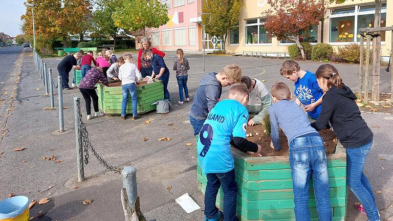 Drittklässler bepflanzen mit Fachlehrerin Maria Neubauer die Beete im Pausenhof mit Blumenzwiebeln. Im Frühjahr wird die Blumenpracht dann noch mit Kräutern ergänzt. Diese werden dann im Rahmen der gemeinsamen Frühstückspause verzehrt.